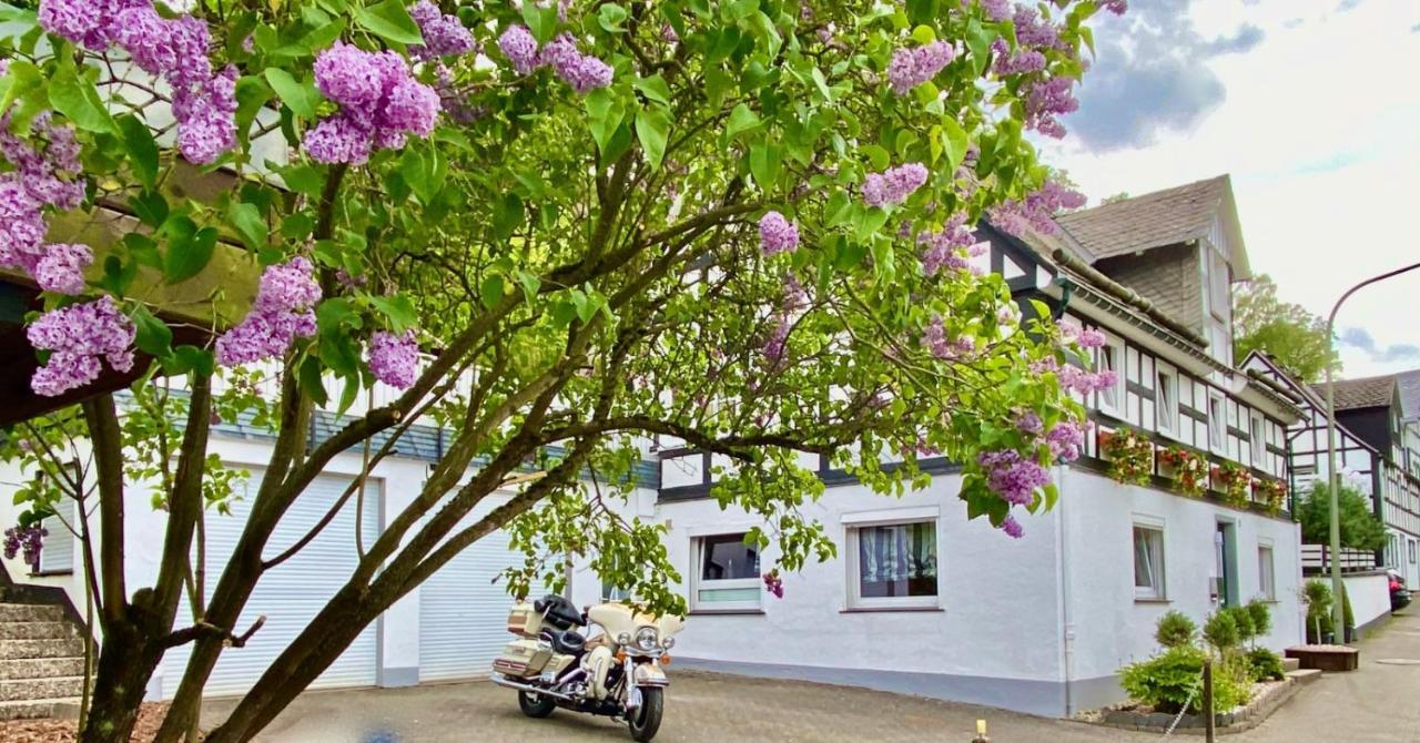 Ferienhaus Sauerland-Traeume Schmallenberg Dış mekan fotoğraf